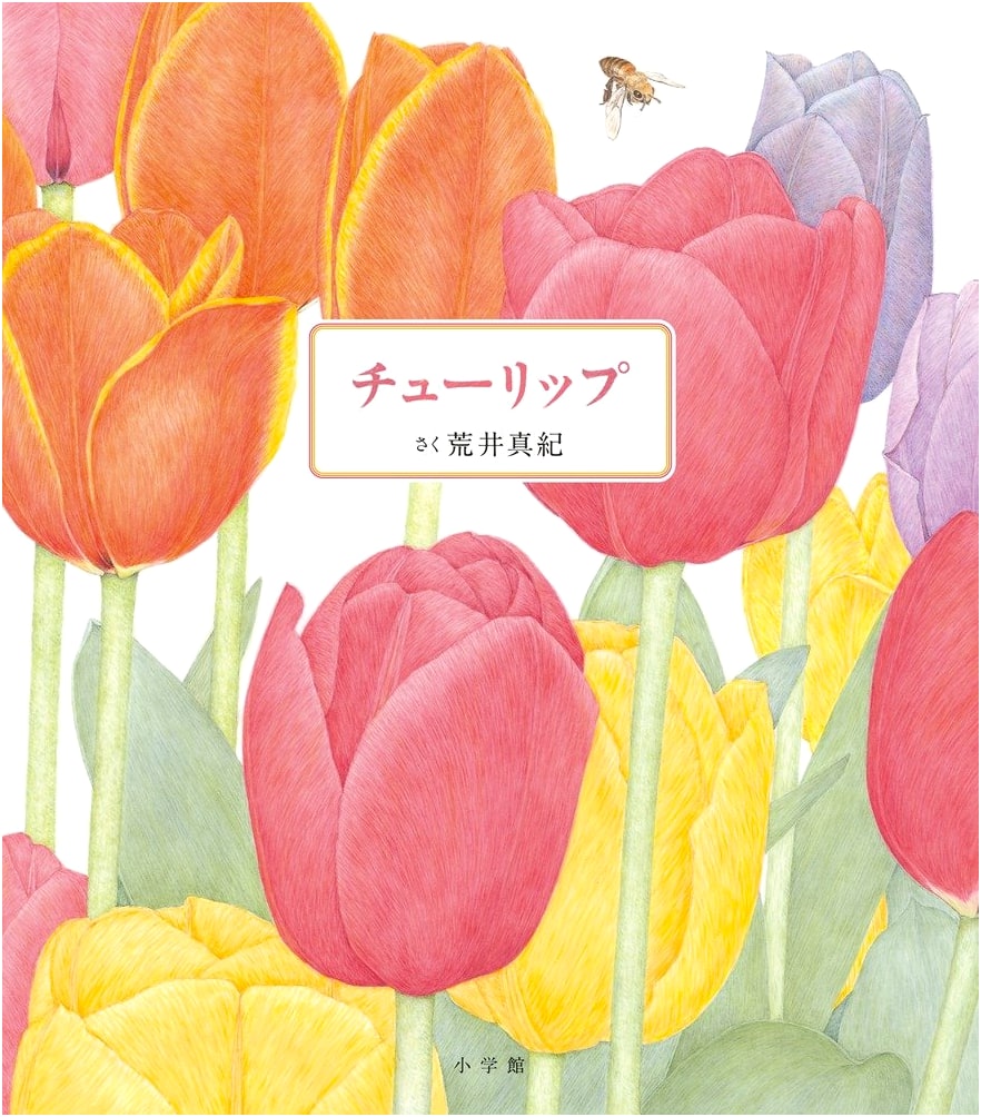 Tulip