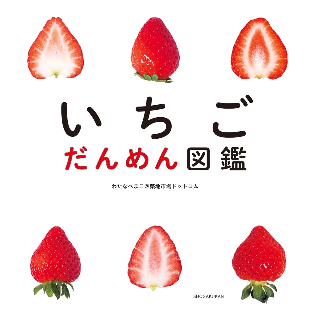 Strawberry Cross-Sections Illustrated Guide