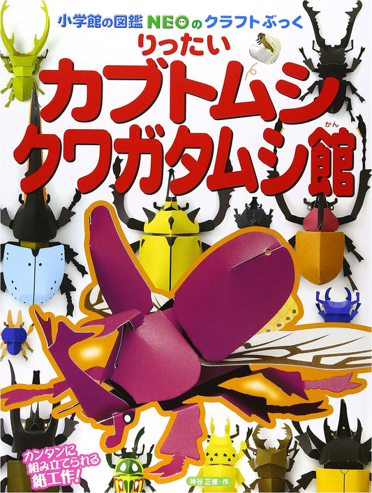 3D Beetle and Stag Beetle Museum by Masanori Kamiya