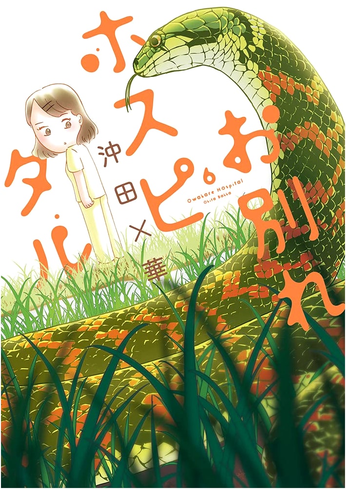 Owakare Hospital Vol. 6 (BIG SPIRITS COMICS) - A Moving Manga Series