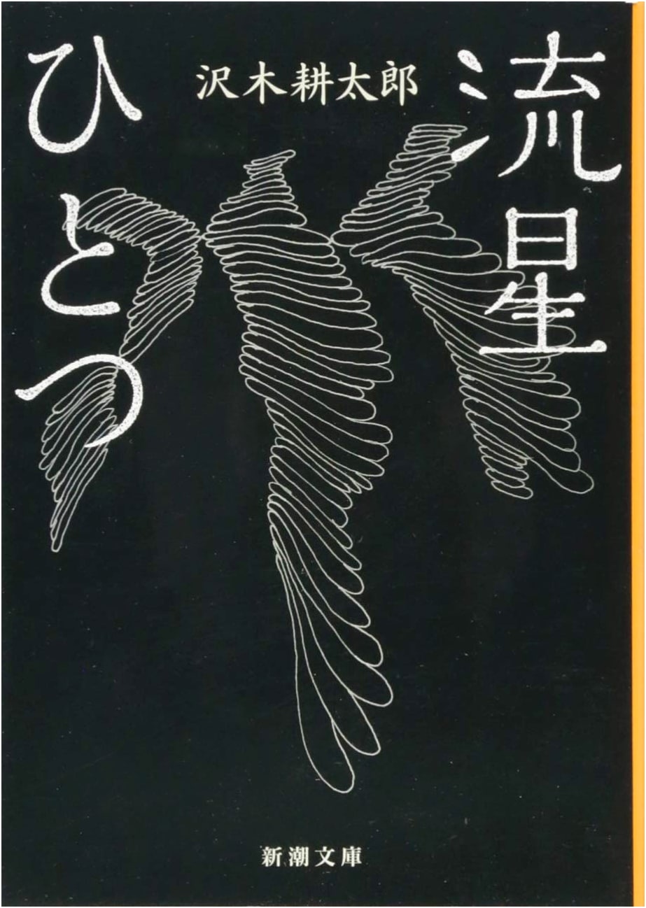 One Shooting Star by Kotaro Sawaki