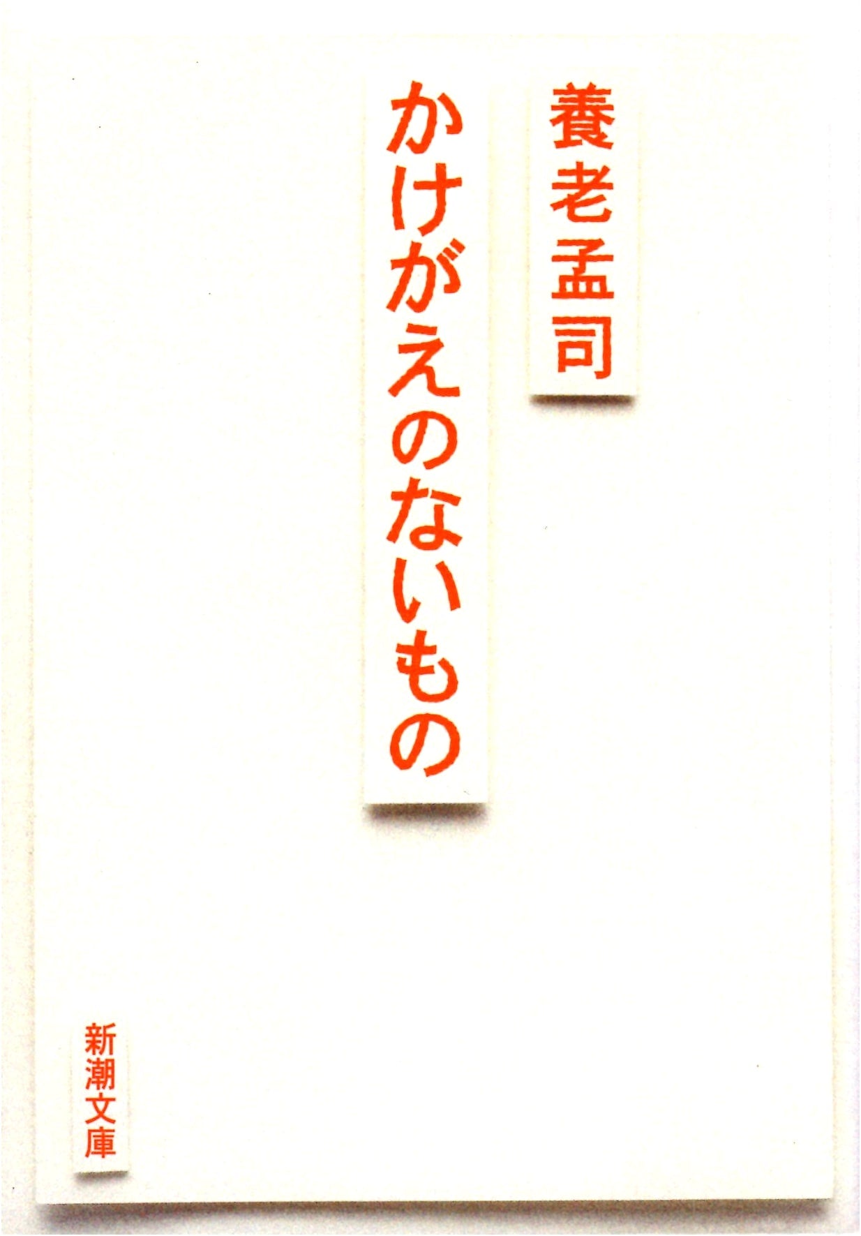 Irreplaceable Things: Shinchosha Bunko Edition