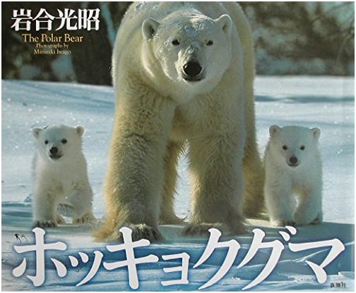 Polar Bear