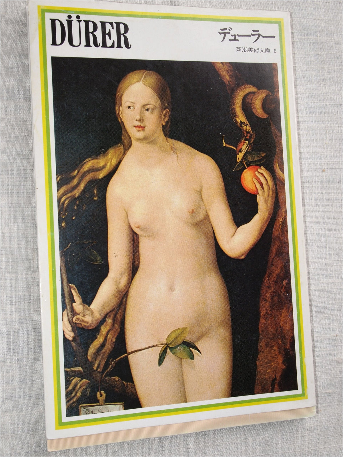 Dürer (Shinchō Art Library 6)