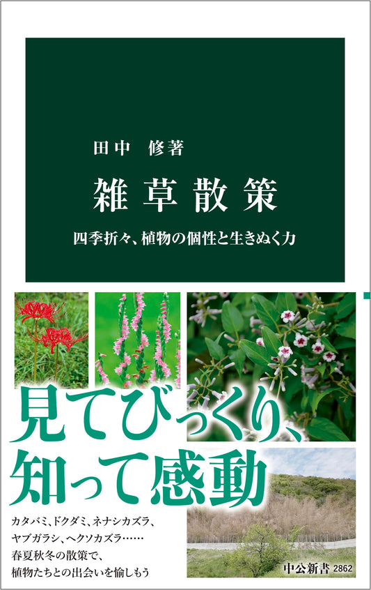 A Stroll Among Weeds: The Individuality and Resilience of Plants Through the Seasons