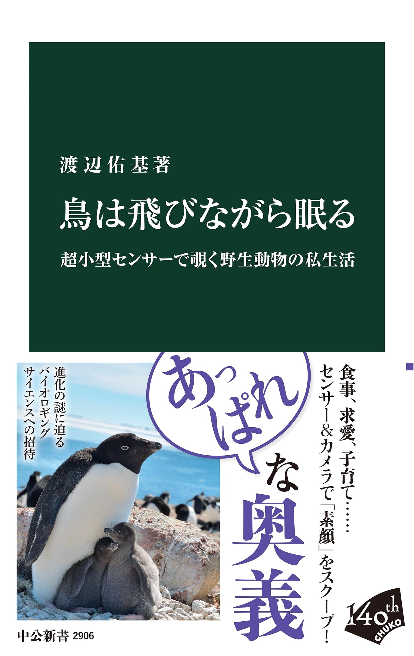 Birds Sleep While Flying: Peeking into Wildlife's Private Lives with Miniature Sensors by Yuki Watanabe