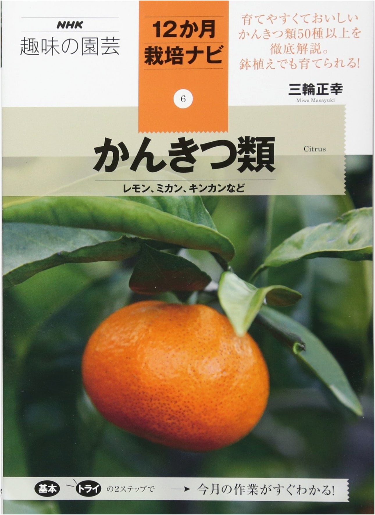 Citrus Fruits: Lemons, Mandarins, Kumquats & More (NHK 12-Month Gardening Guide Vol. 6)