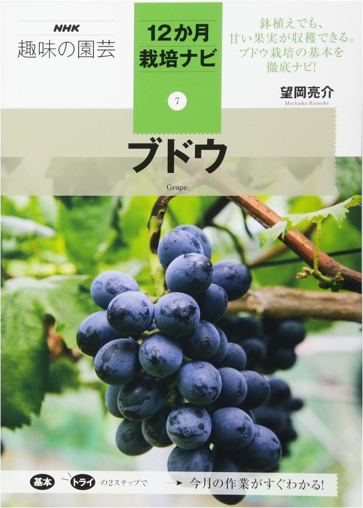 Grapes: NHK 12-Month Gardening Cultivation Guide (Volume 7)