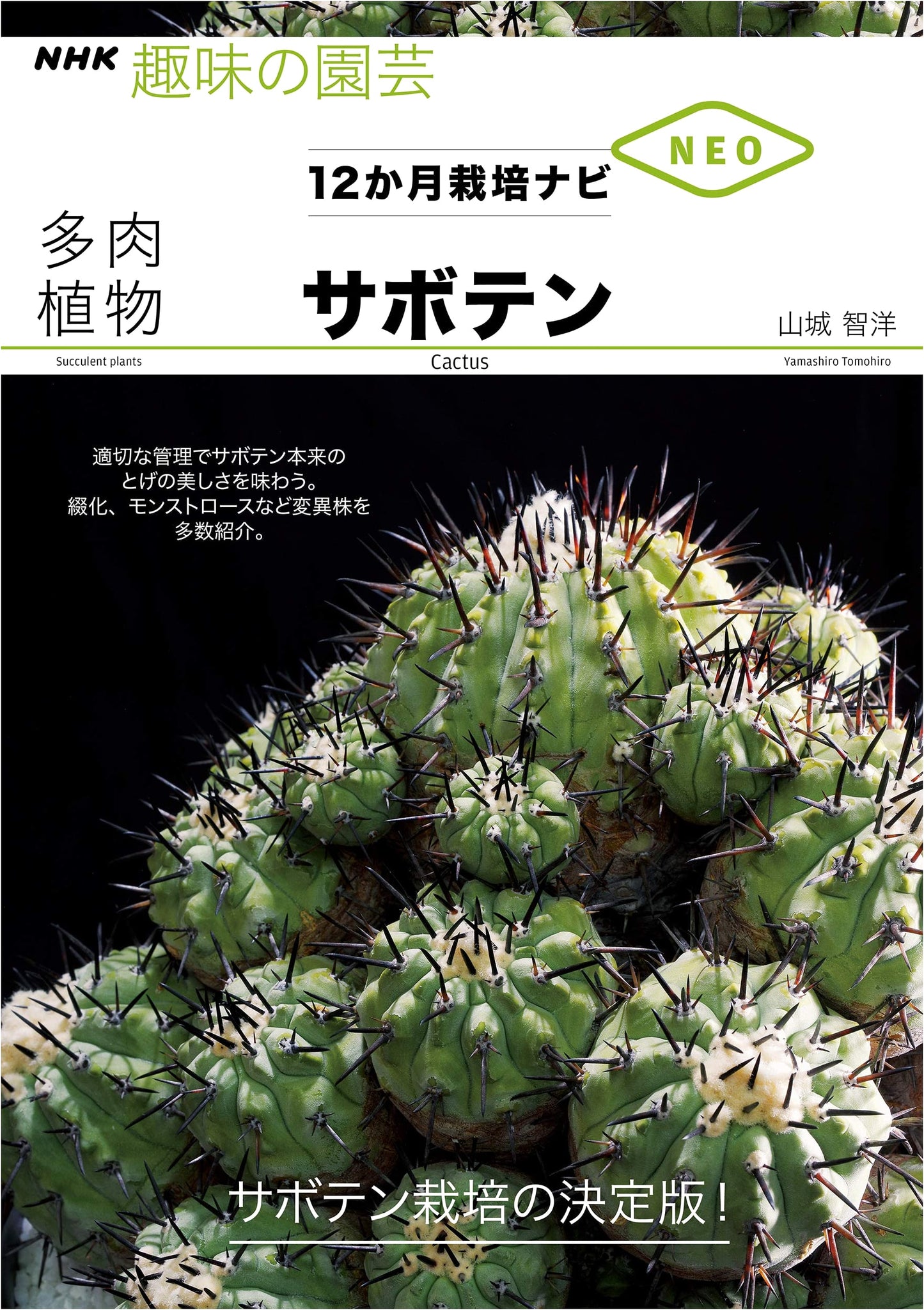 Succulents and Cacti: NHK Hobby Gardening 12-Month Cultivation Guide NEO