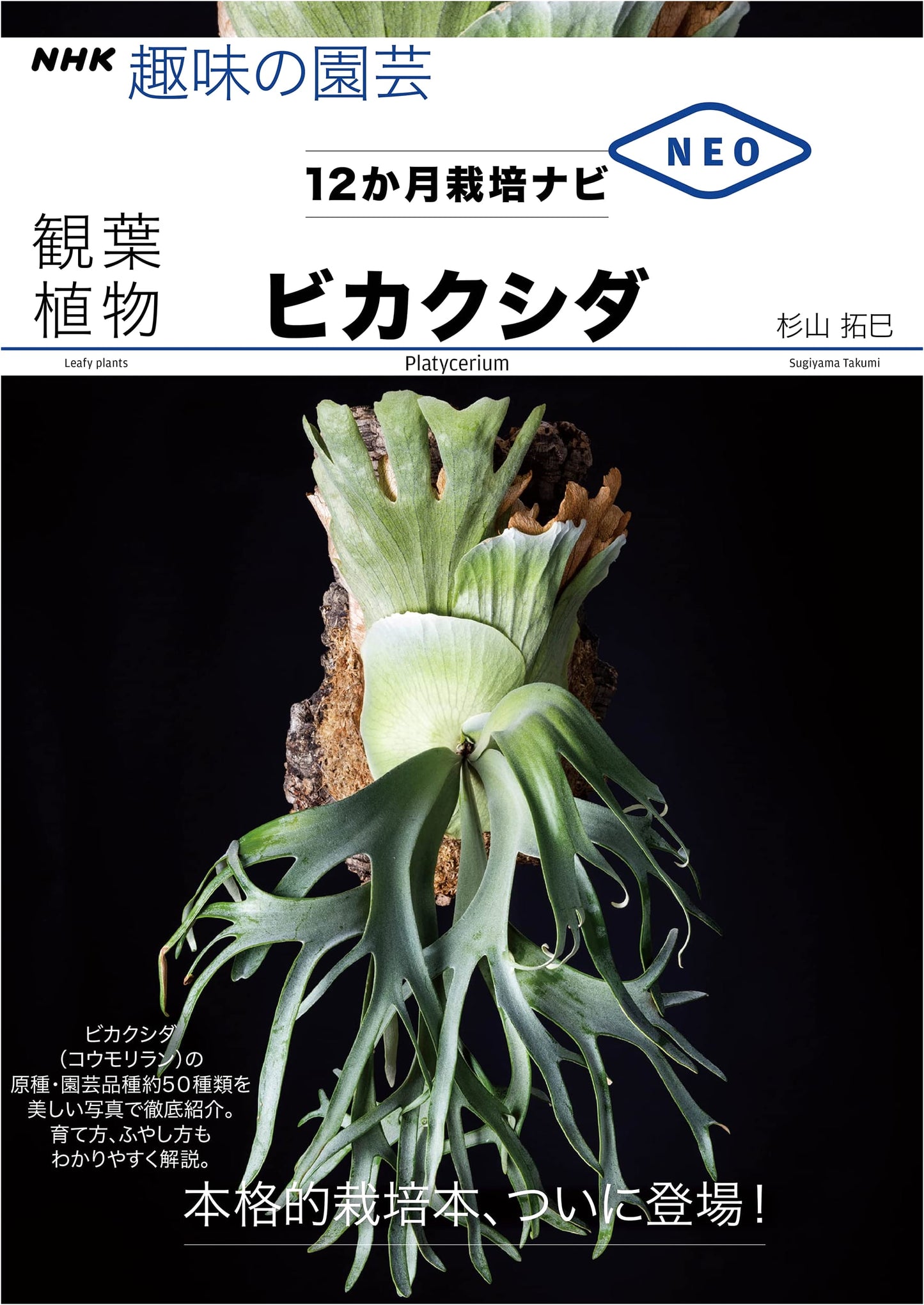 Growing Staghorn Ferns: NHK Gardening Guide by Takumi Sugiyama