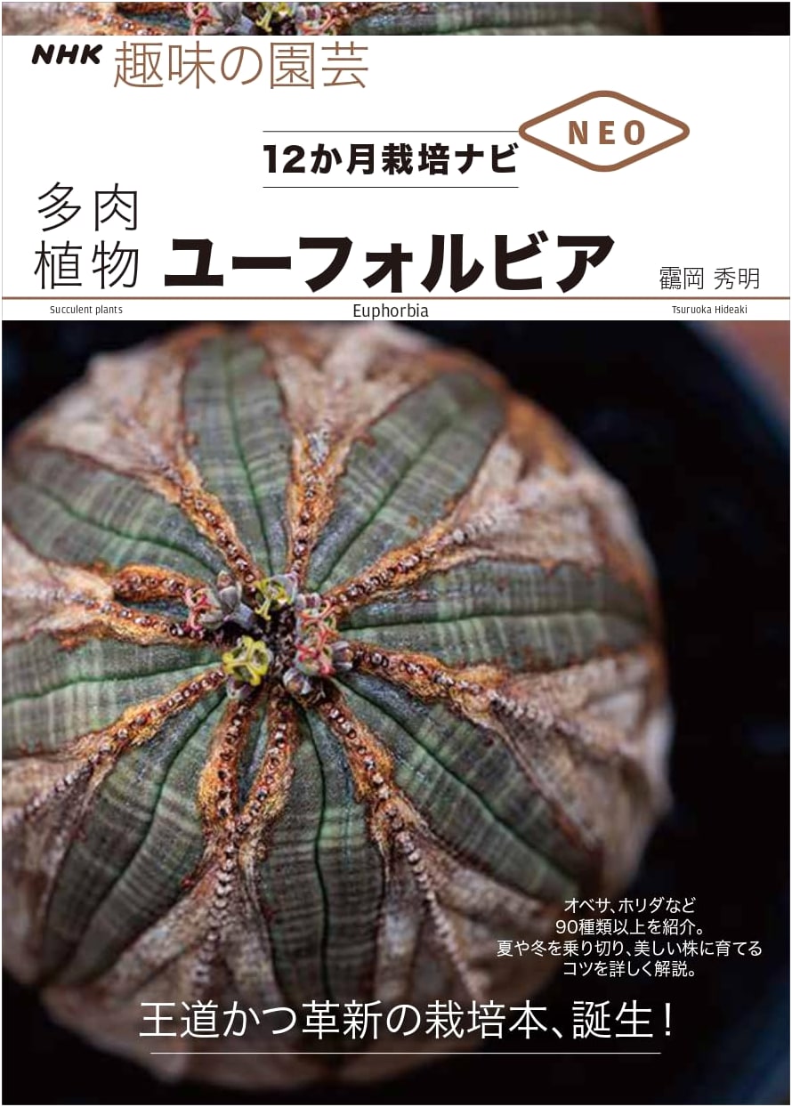 NHK Gardening: Succulents & Euphorbia – 12-Month Cultivation Guide NEO