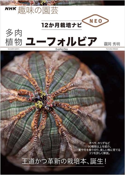 NHK Gardening: Succulents & Euphorbia – 12-Month Cultivation Guide NEO