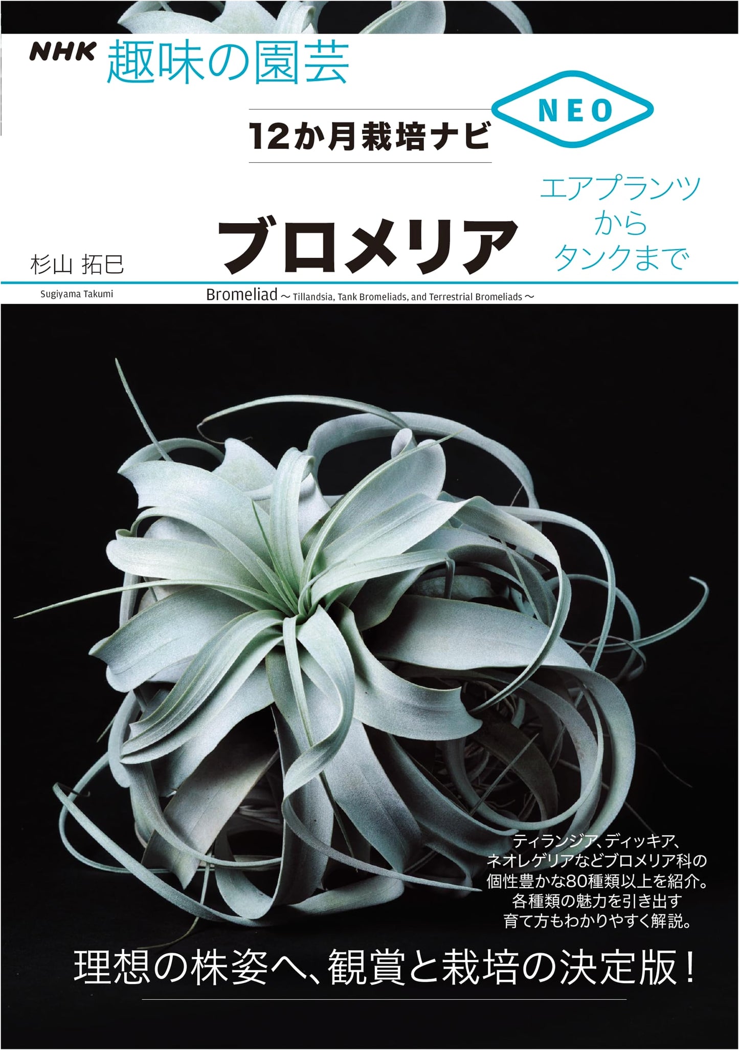 Bromeliads: From Air Plants to Tanks (NHK Hobby Gardening)
