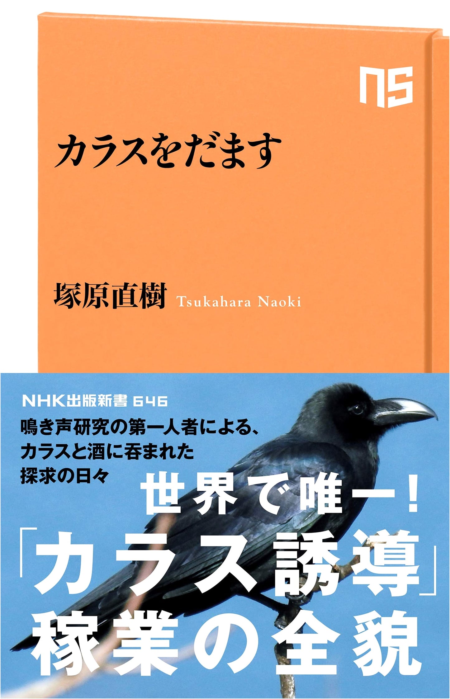 Deceiving Crows (NHK Publishing New Series 646)