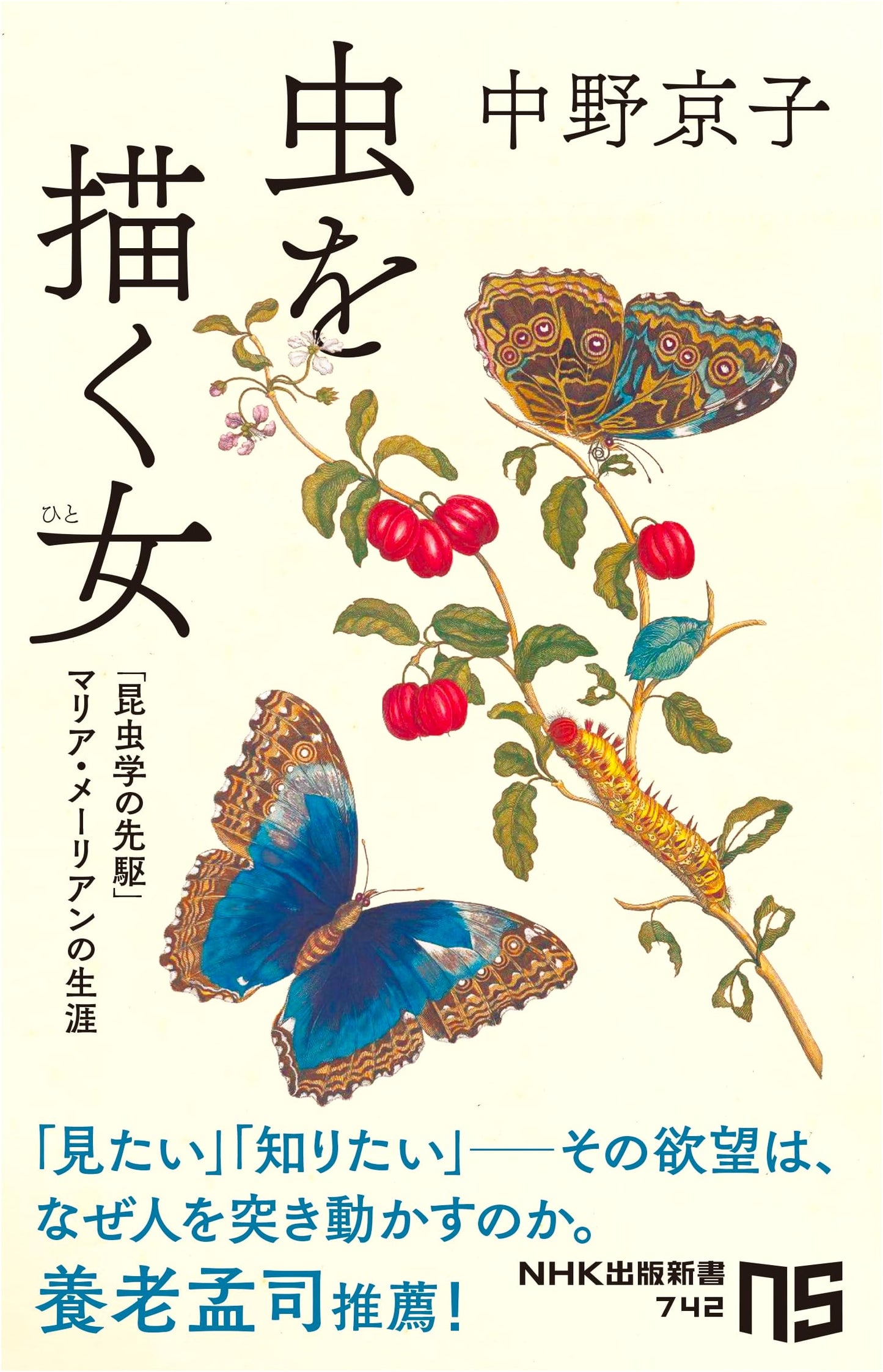The Woman Who Drew Insects: The Life of Maria Merian, Pioneer of Entomology
