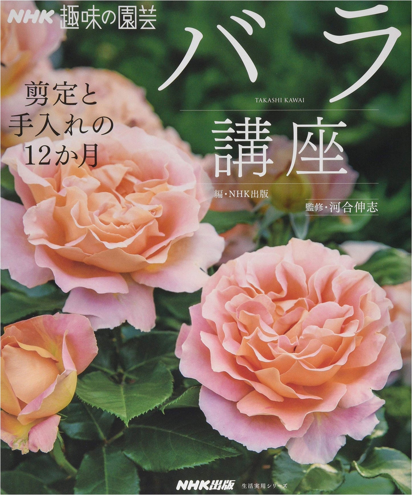 NHK Hobby Gardening: Rose Course – 12 Months of Pruning and Care