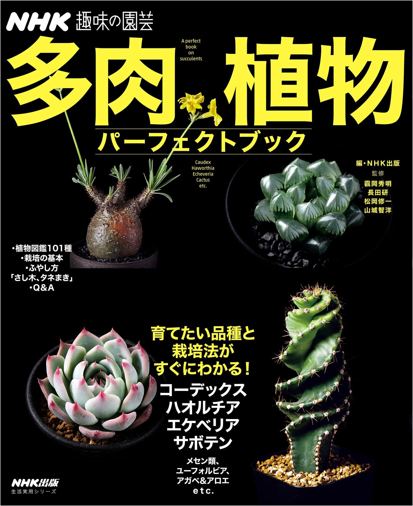 NHK Hobby Gardening: Succulent Plants Perfect Book