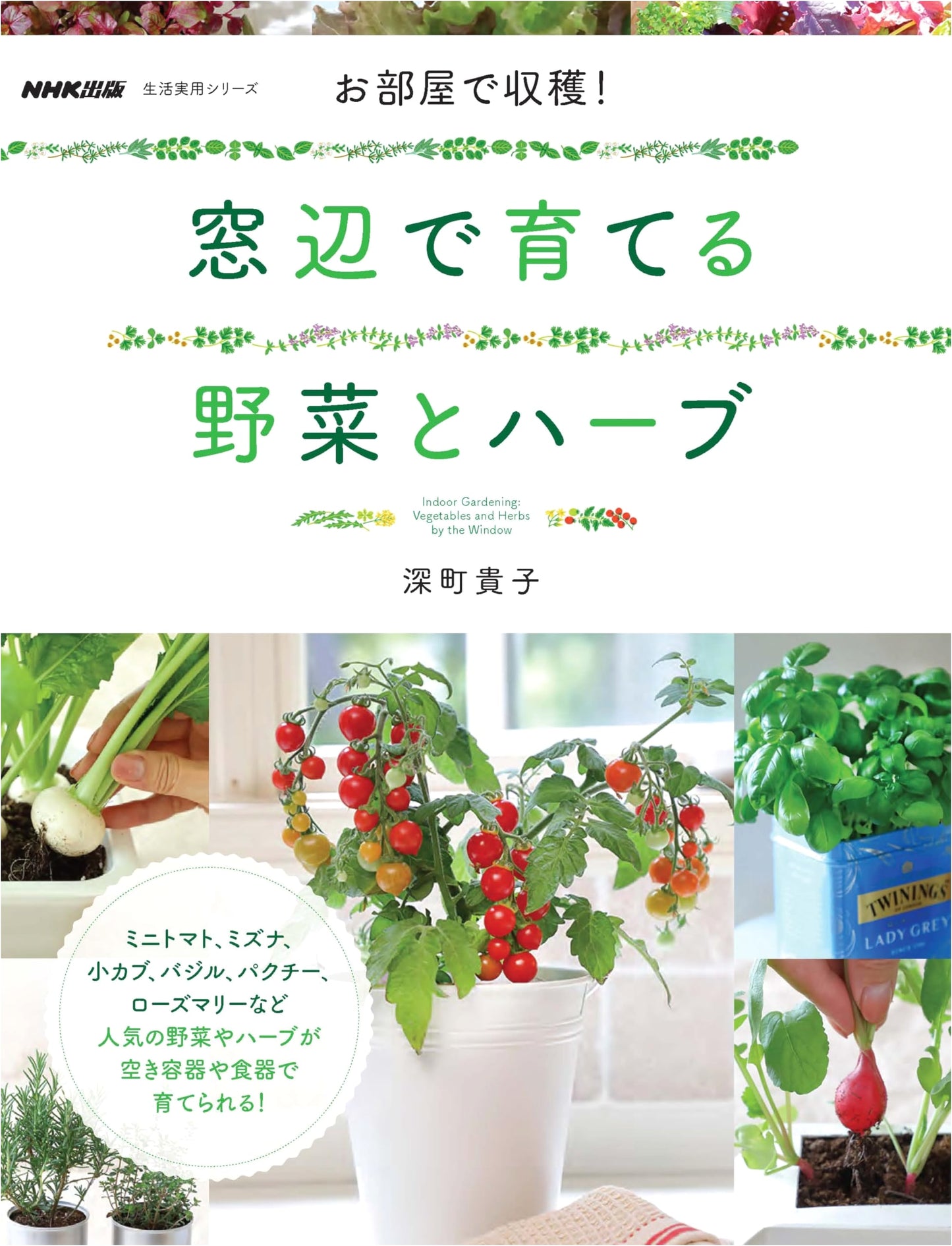 Harvest in Your Room! Growing Vegetables and Herbs by the Window