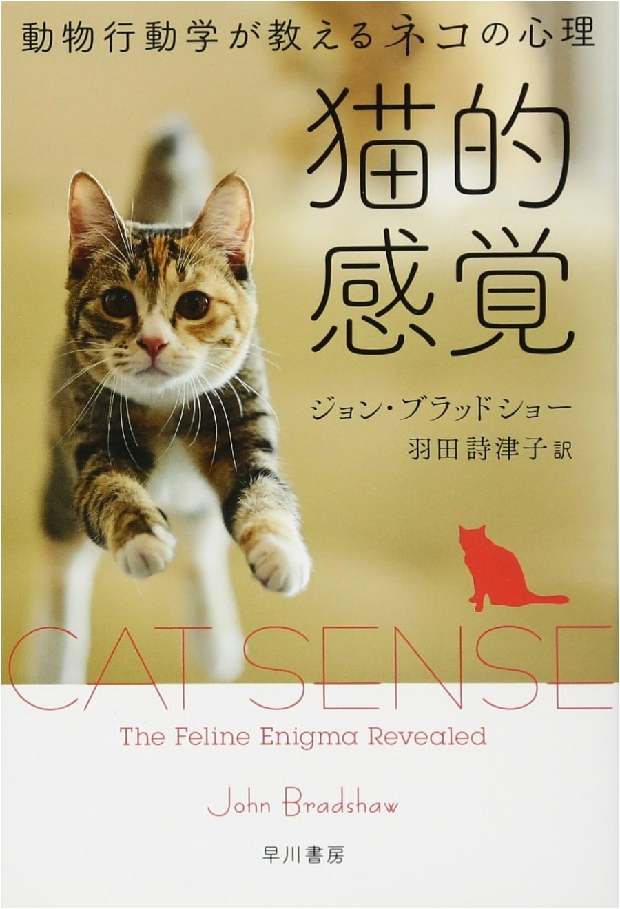 A Cat's Perspective: Feline Psychology Through Animal Behavior Science