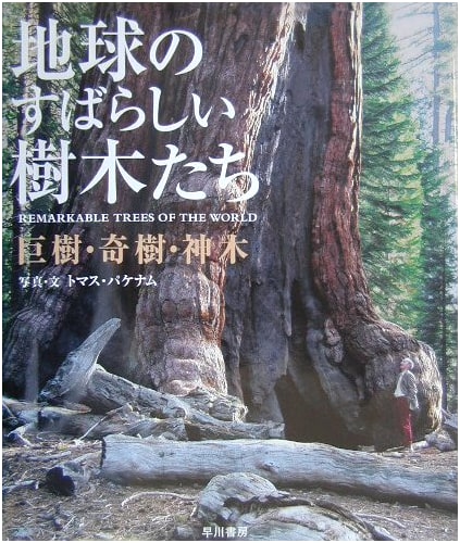 The Earth's Magnificent Trees: Giants, Oddities, and Sacred Trees by Thomas Pakenham