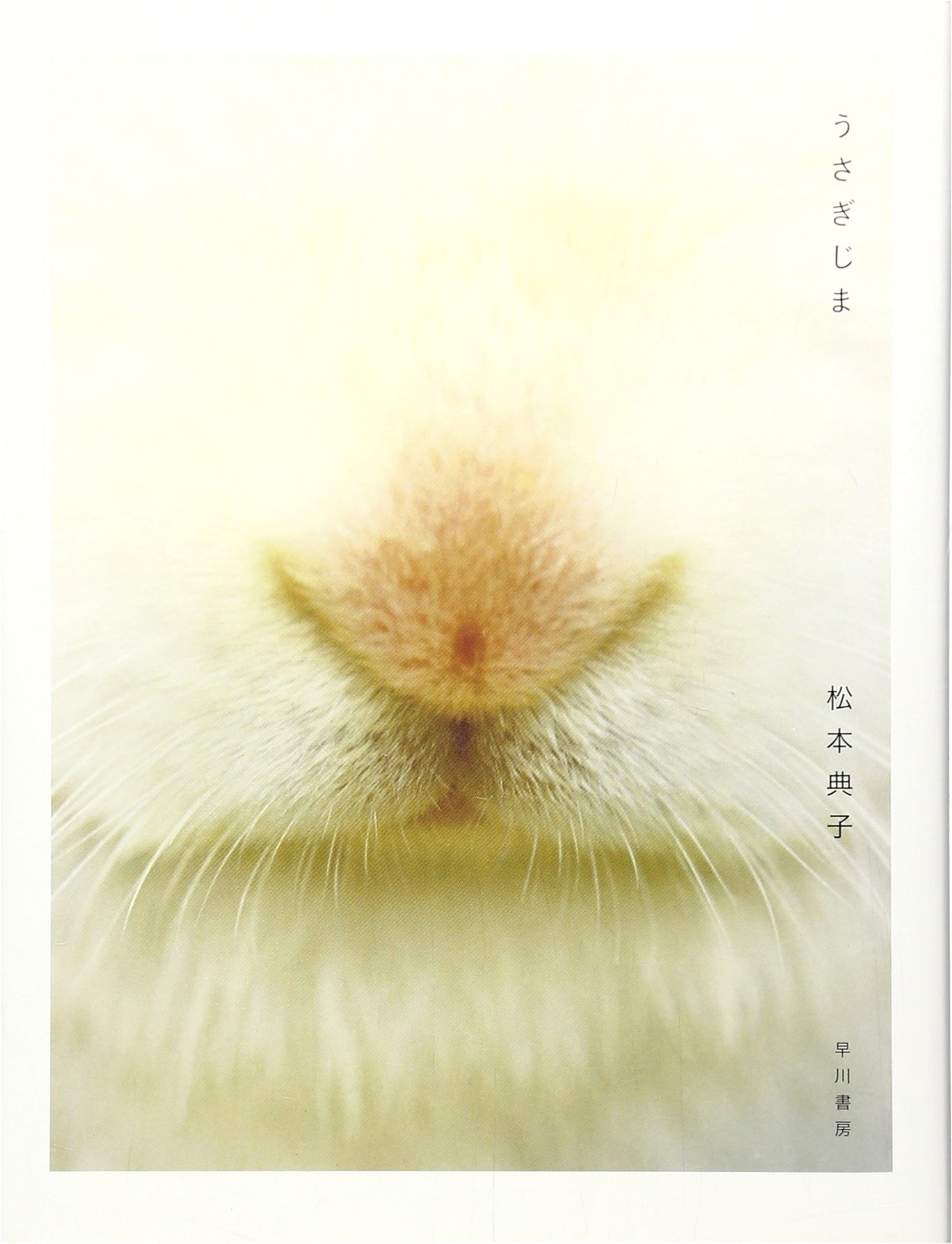 Rabbit Island by Noriko Matsumoto