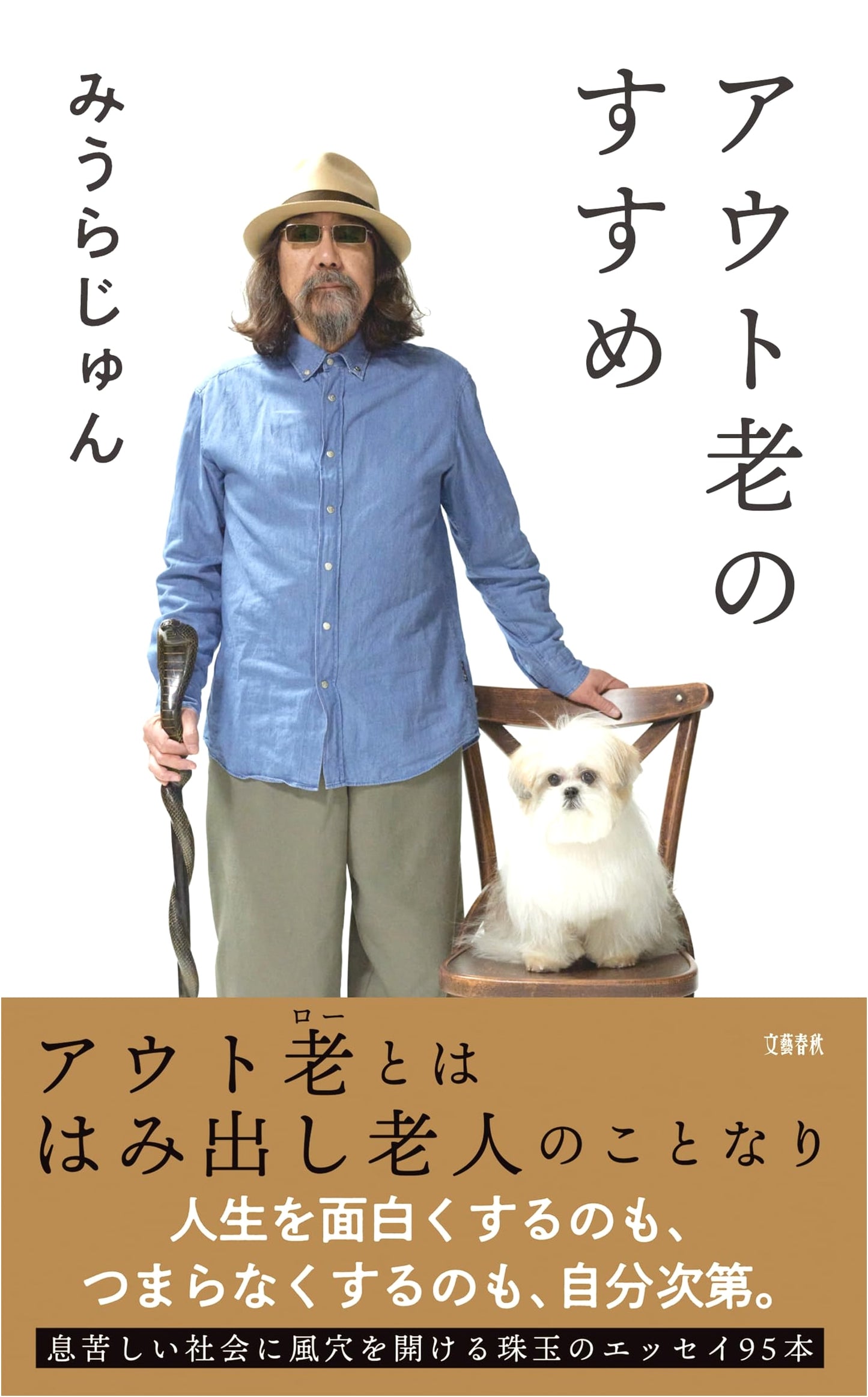 The Joy of Growing Old: Outro is the New Intro by Jun Miura