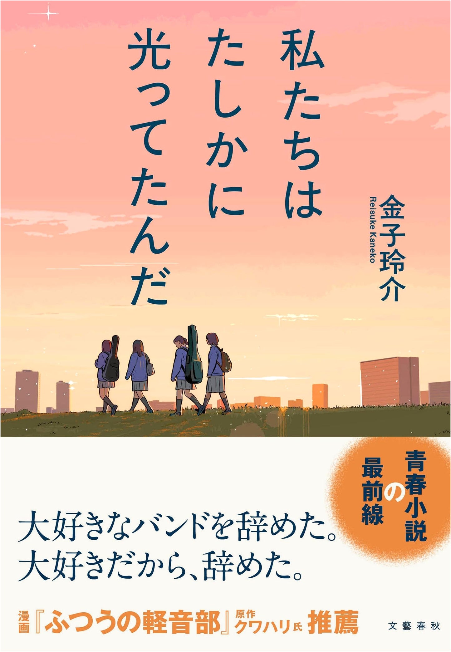 We Certainly Shone: A Novel by Reisuke Kaneko
