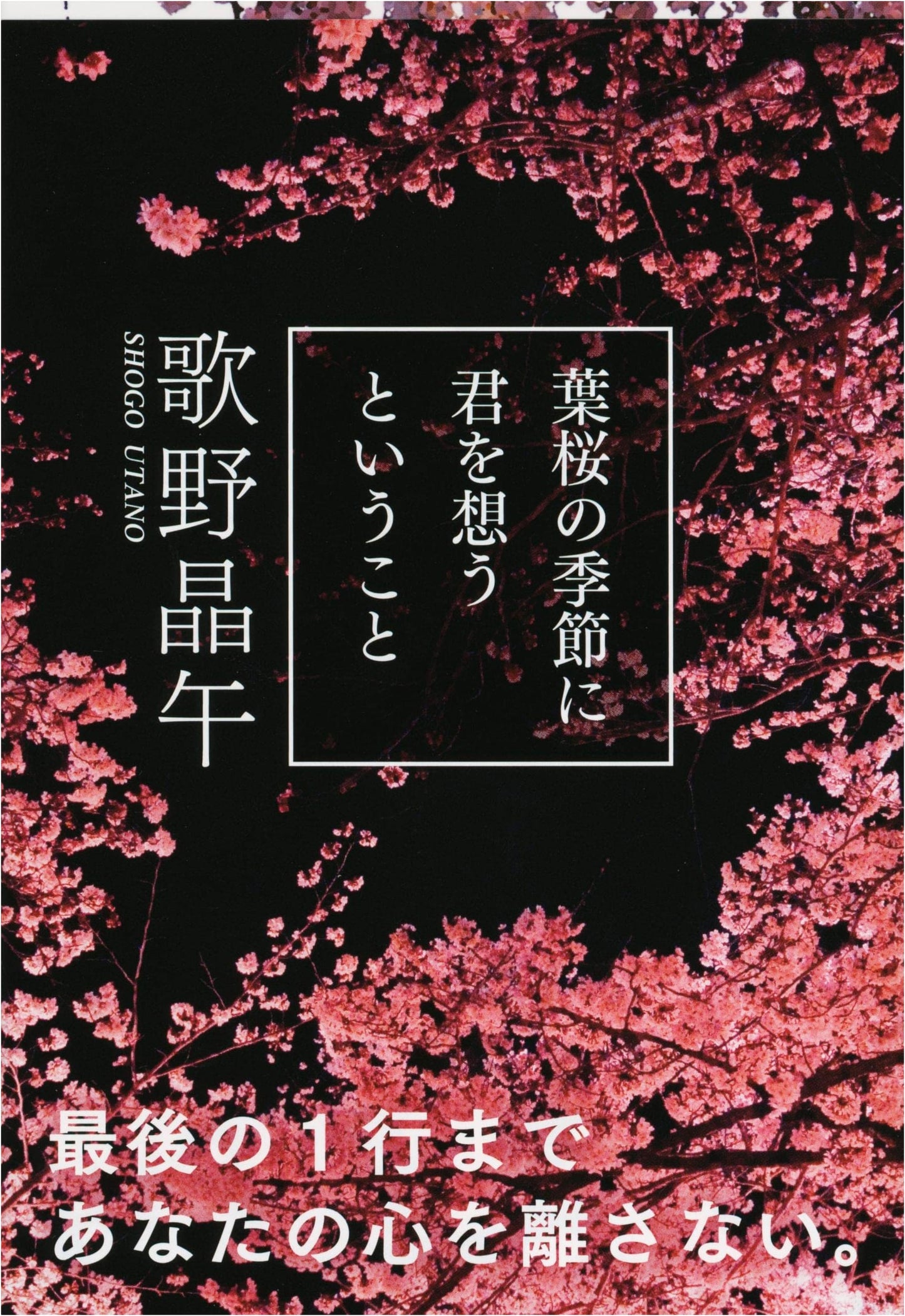 Thinking of You in the Season of Young Cherry Leaves by Shogo Utano