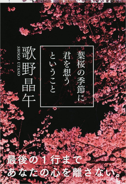 Thinking of You in the Season of Young Cherry Leaves by Shogo Utano