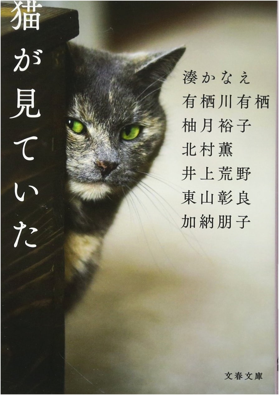 The Cat Was Watching