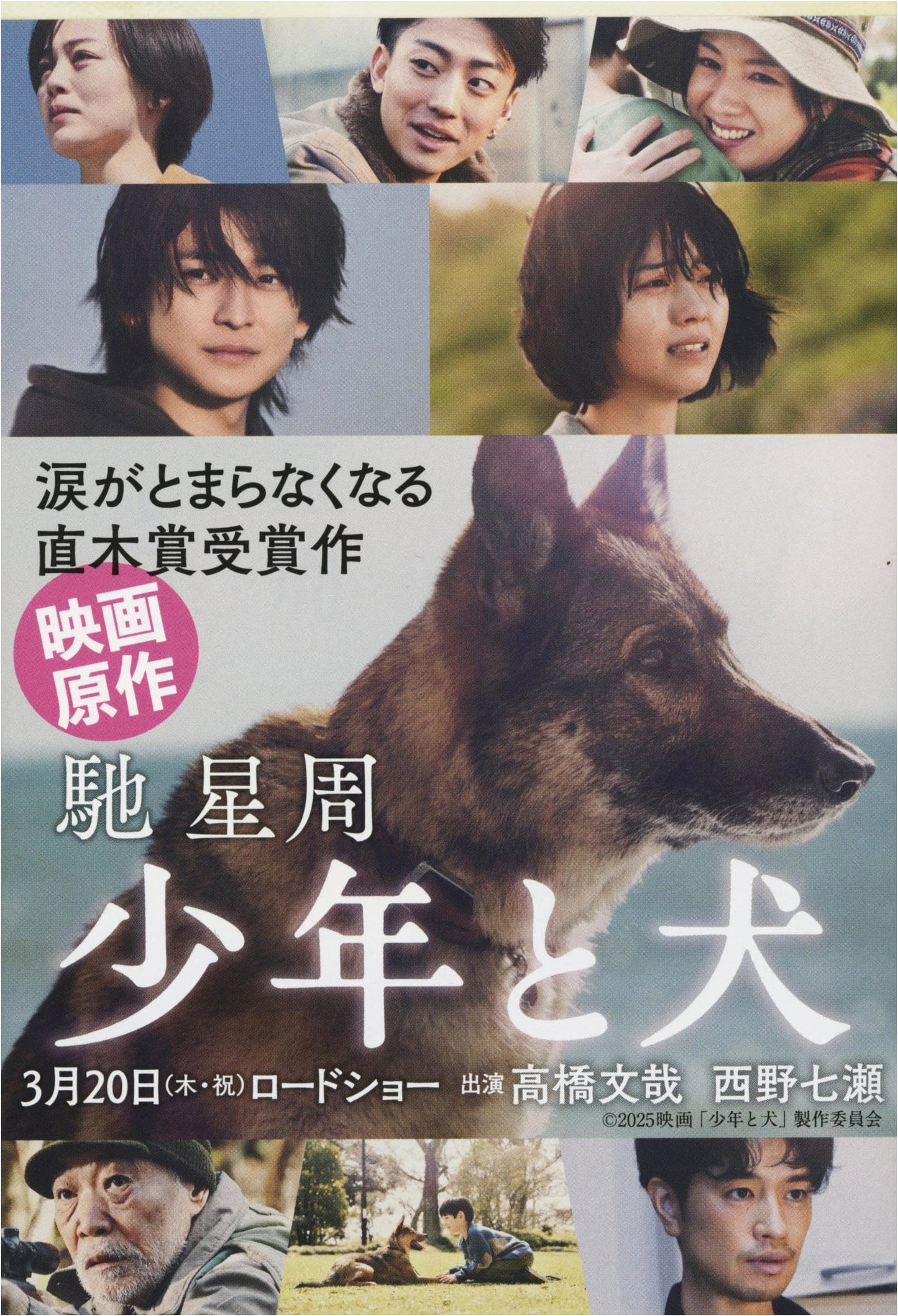 The Boy and the Dog by Shuichi Hase