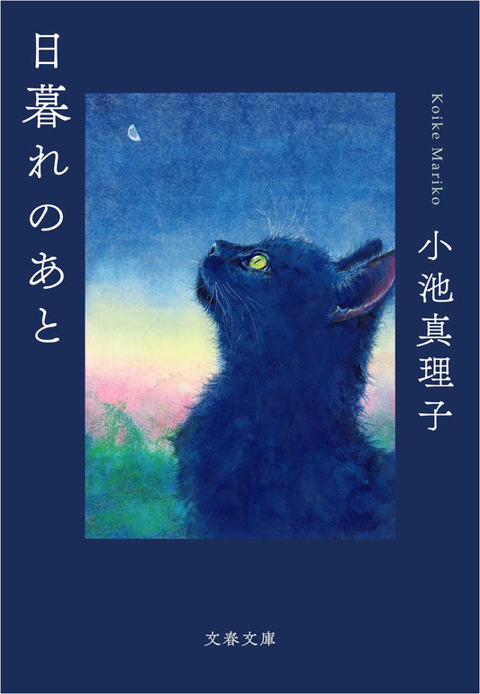 After Sunset by Mariko Koike