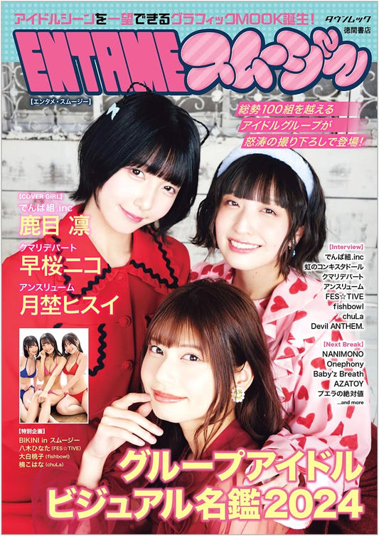 ENTAME Smoothie: 2024 Visual Directory of Group Idols