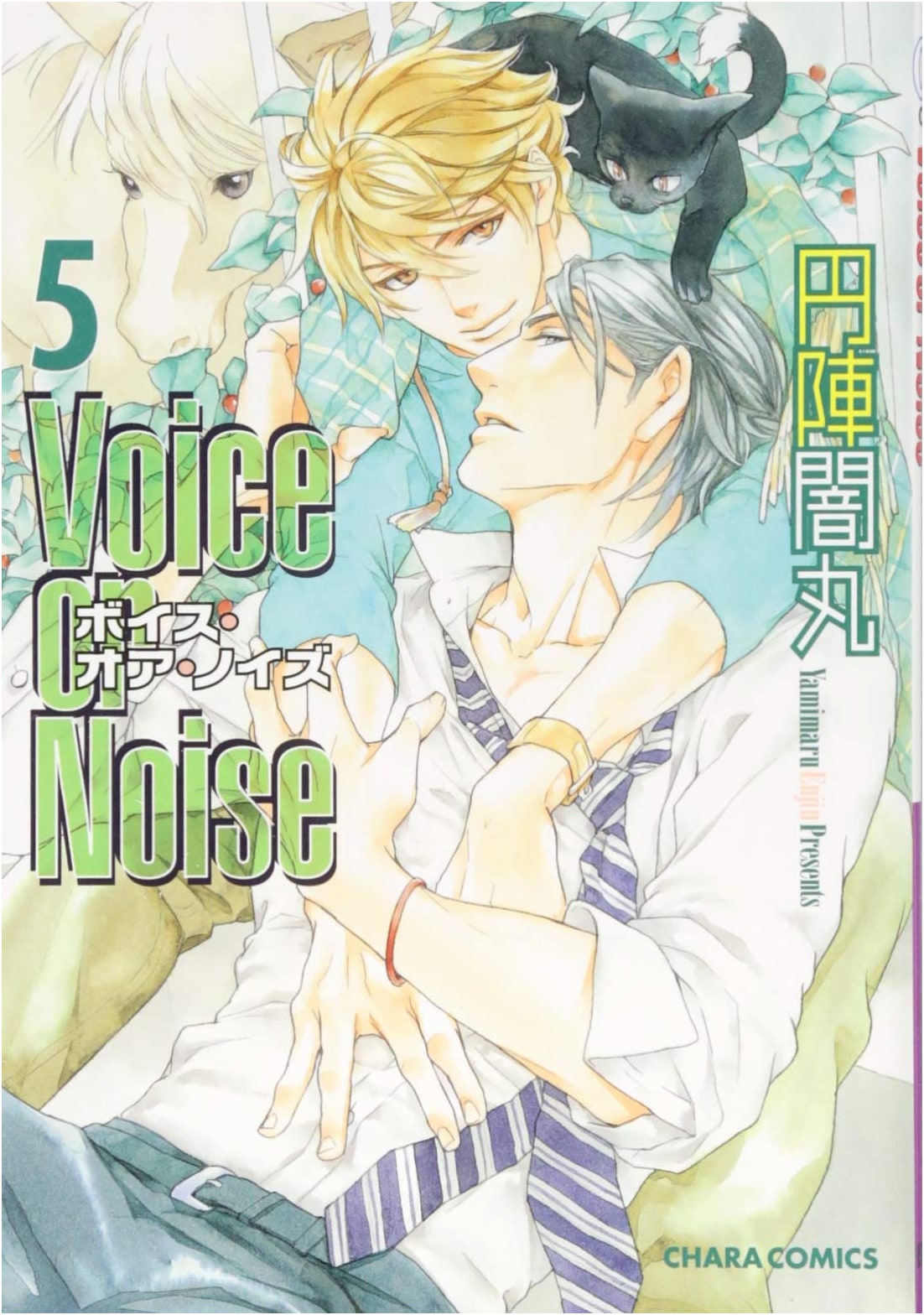 Voice or Noise Vol. 5 (Chara Comics)