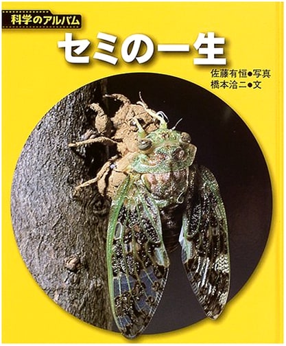 Life Cycle of the Cicada: New Edition (Science Album Insects 5)