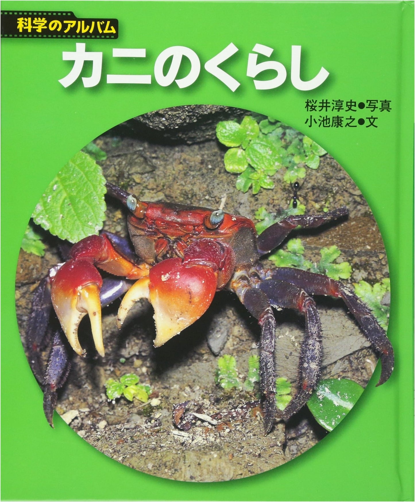 The Life of Crabs: Revised Edition (Science Album: Animals & Birds, Vol. 2)