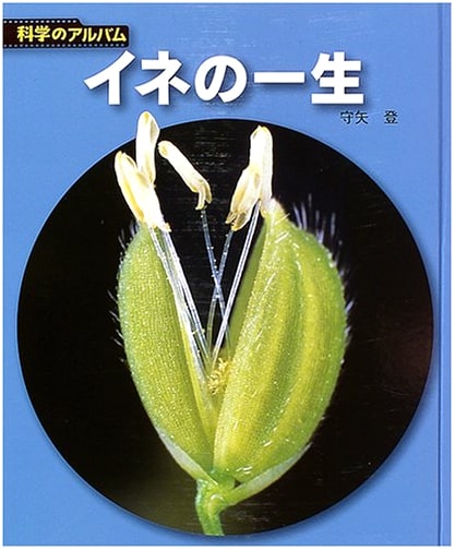The Life of Rice Plant: New Edition (Science Album Plants 4)