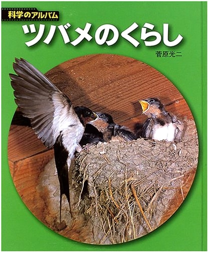 The Life of Swallows: New Edition (Science Album Animals/Birds 3)