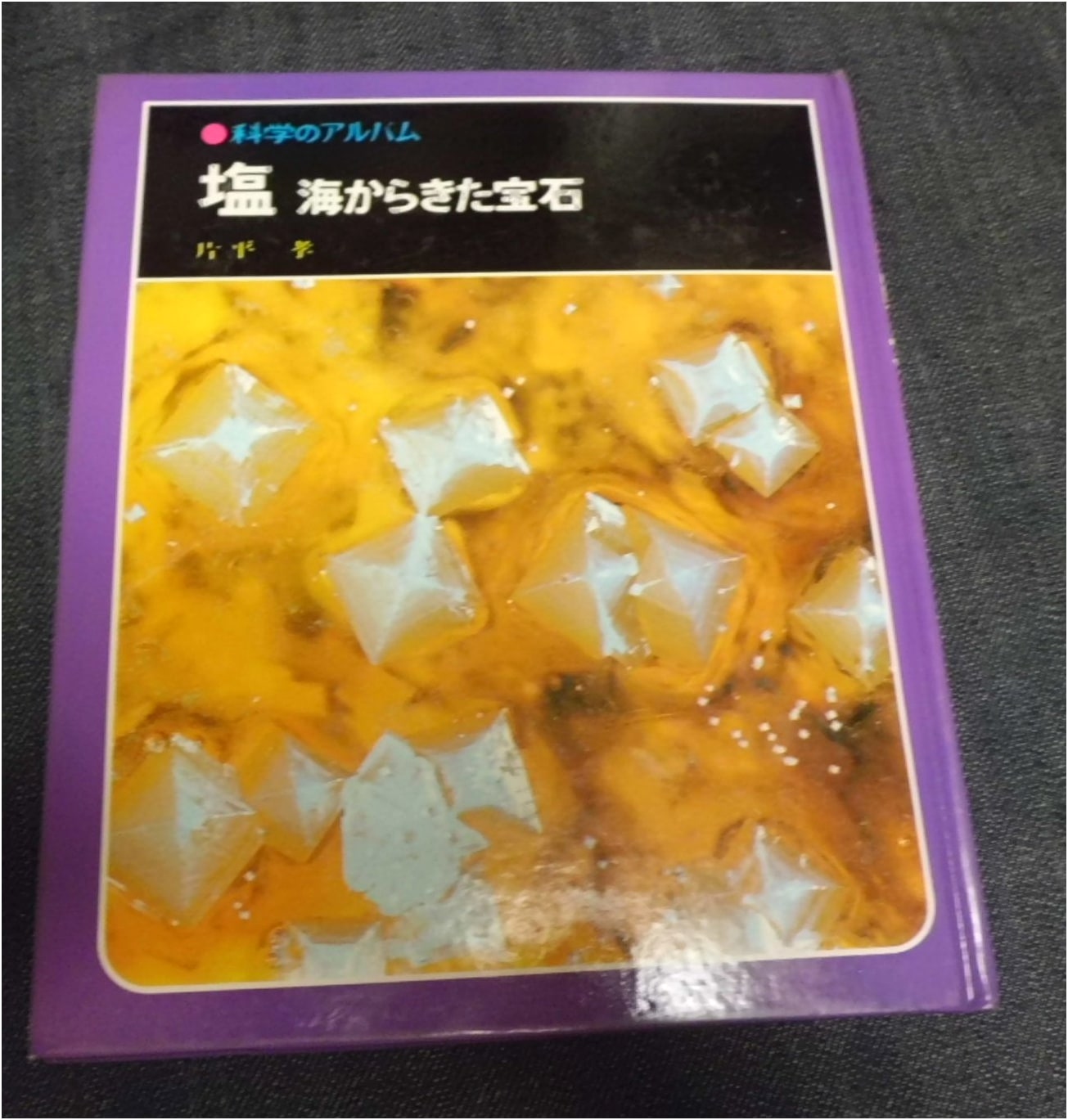 Salt, New Edition: Jewel from the Sea (Science Album: Astronomy/Earth Science 12)