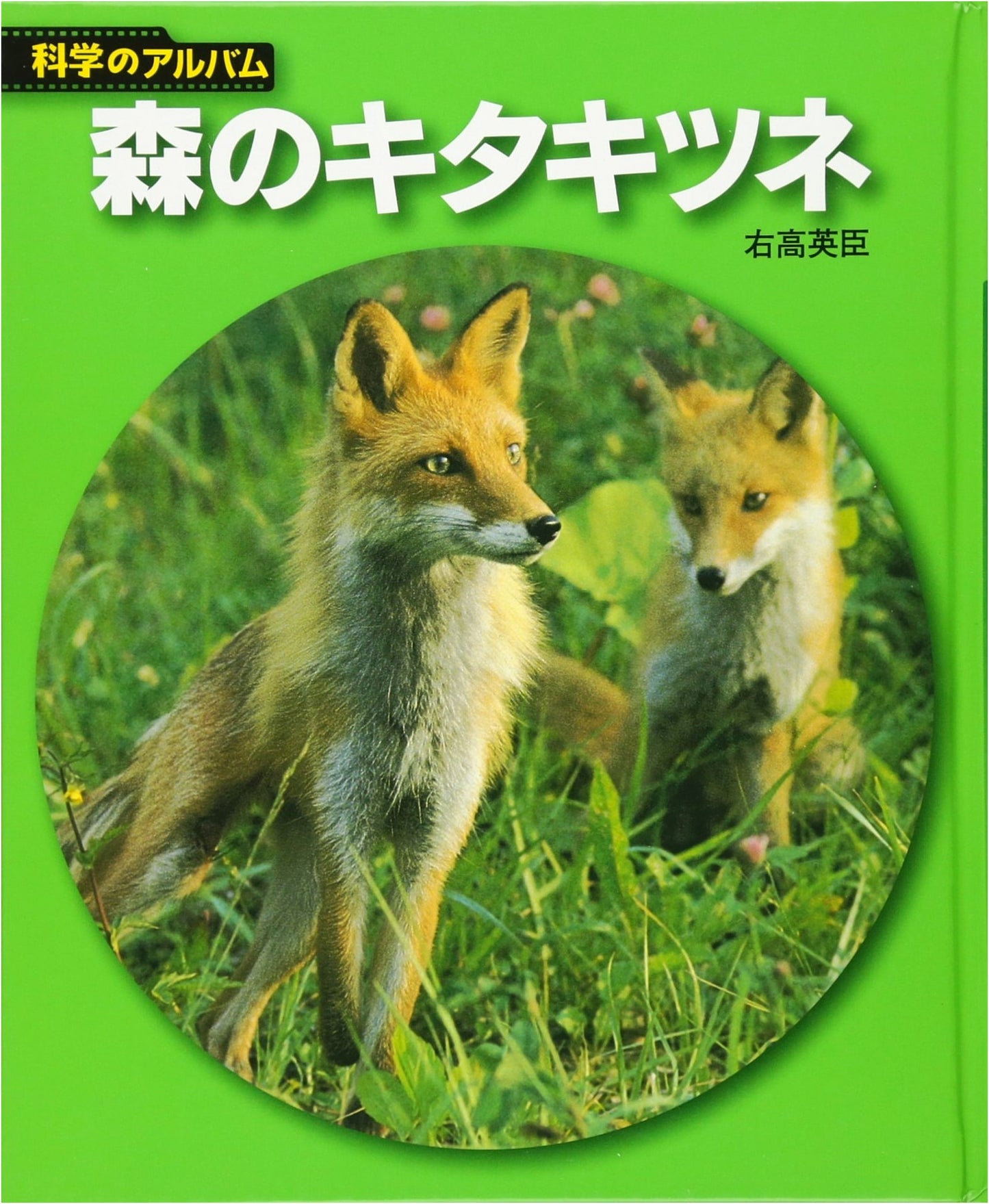 The Forest Red Fox: New Edition (Science Album: Animals & Birds 13)