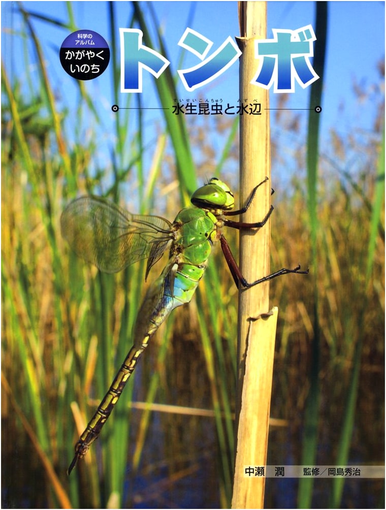 Dragonflies: Aquatic Insects and Their Waterside Environments (Science Album, Vol. 3)