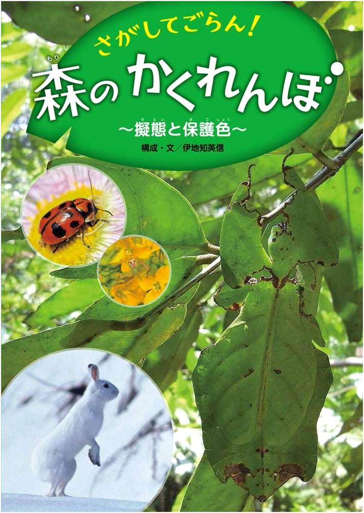 Look and Find! Forest Hide-and-Seek: Mimicry and Protective Coloration