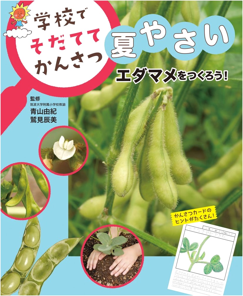 Let's Grow Edamame! A School Guide to Cultivating Summer Vegetables