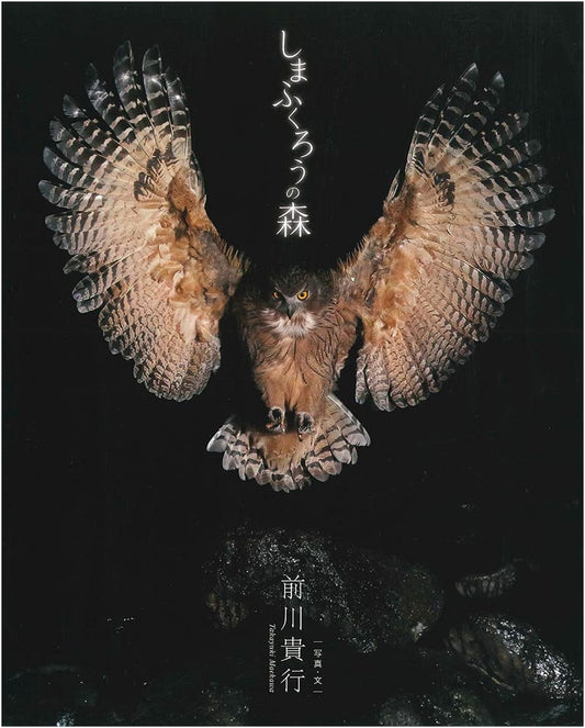 Blakiston's Fish Owl Forest