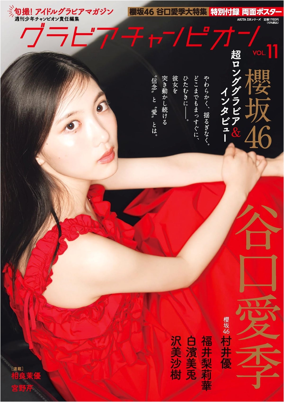 Gravure Champion Vol. 11 (Akita DX Series)