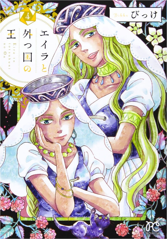 Eira and the King of the Outer Country, Vol. 4 (Bonita Comics)