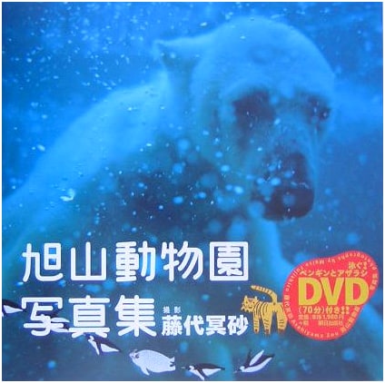 Asahiyama Zoo: A Photographic Journey (with DVD)