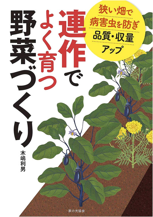 Vegetable Gardening for Small Spaces: Preventing Pests and Boosting Yields