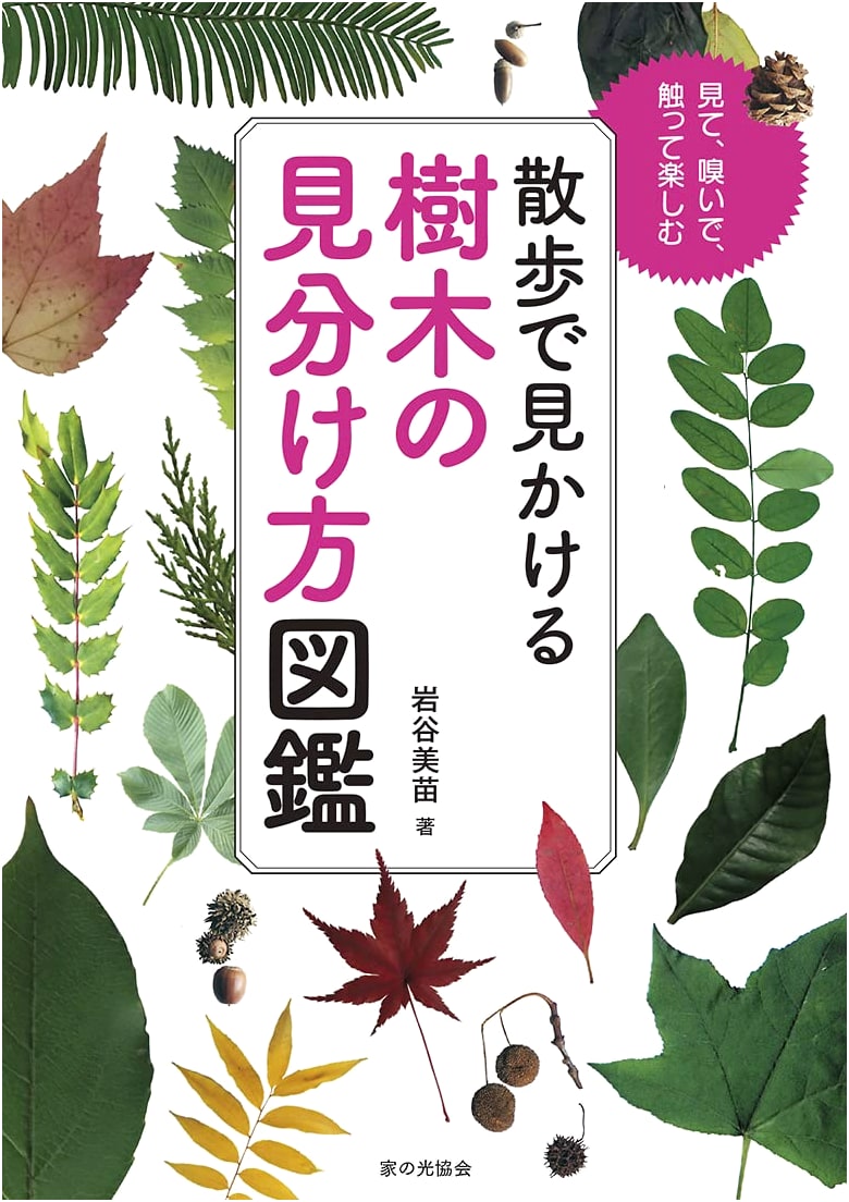 Illustrated Guide to Identifying Trees on Your Walk: A Japanese Botanical Field Guide