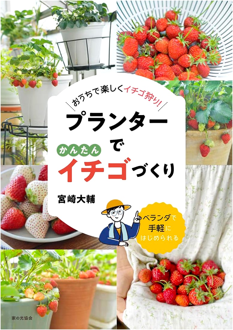 Easy Strawberry Cultivation in Planters: Enjoy Strawberry Picking at Home!